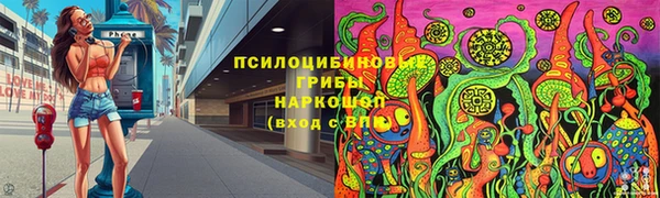 молекула духа Алзамай