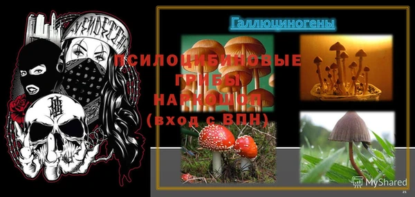 молекула духа Алзамай